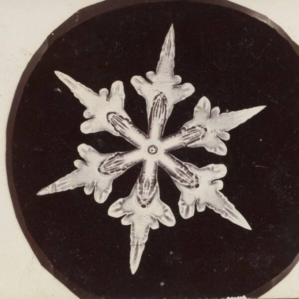Schneeflocke Foto alt