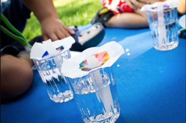 Experiment: Gläser mit Wasser; Papierfilter mit Farbe, die sich in ihre Bestandteile auflöst