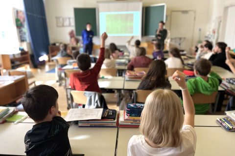 eine Schulklasse von hinten, mehrere Kinder heben die Hände
